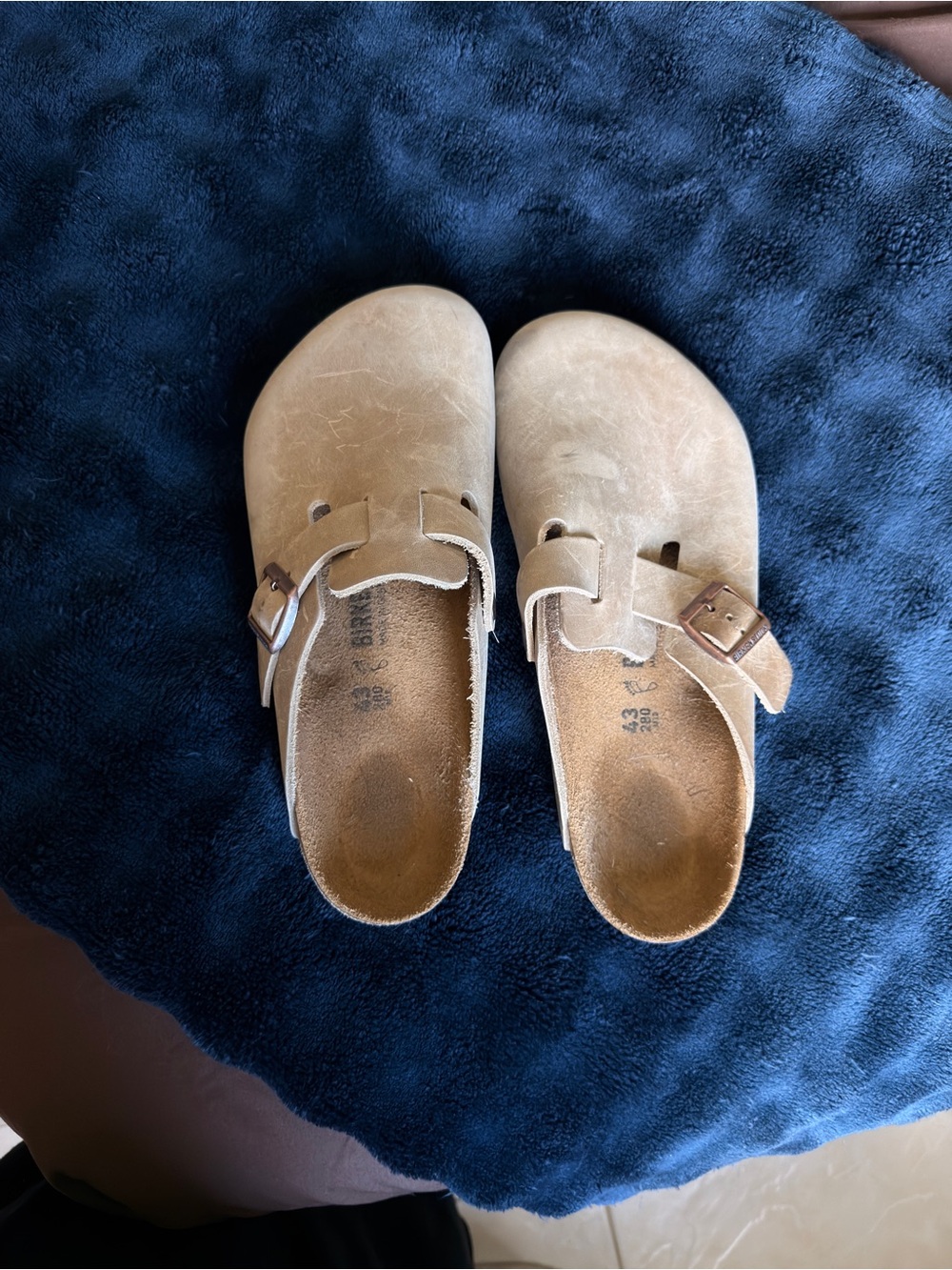 Birkenstock Tan Suede Slip-On Clogs with Buckle